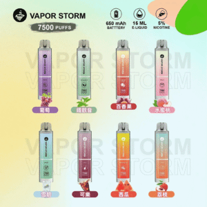 VAPOR STORM風暴辣妹7500口拋棄式一次性可充電電子煙(5%)