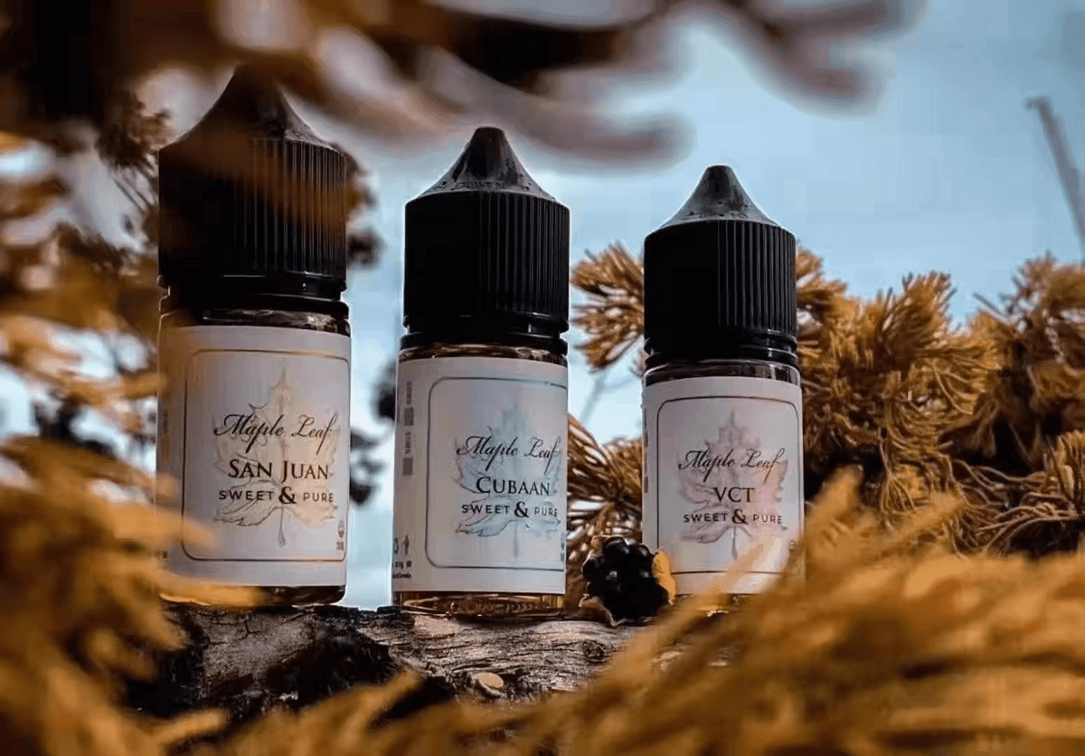 楓葉小煙油Maple Leaf:圖片 2